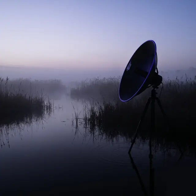 Cymasonic Labs, Bioacoustics