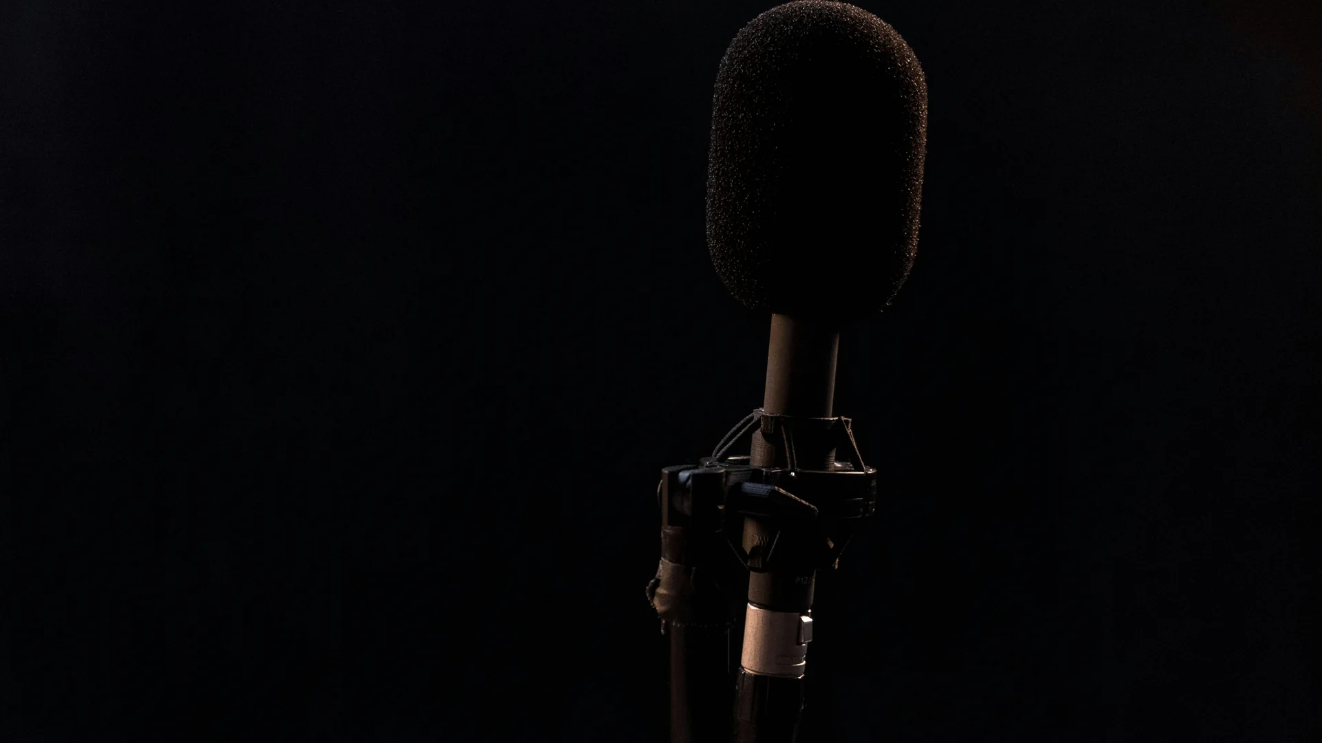 A measurement microphone assessing the acoustics of a room.