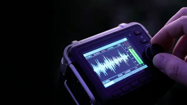 Spectrogram annotation turning raw field audio into a structured, AI-ready dataset.