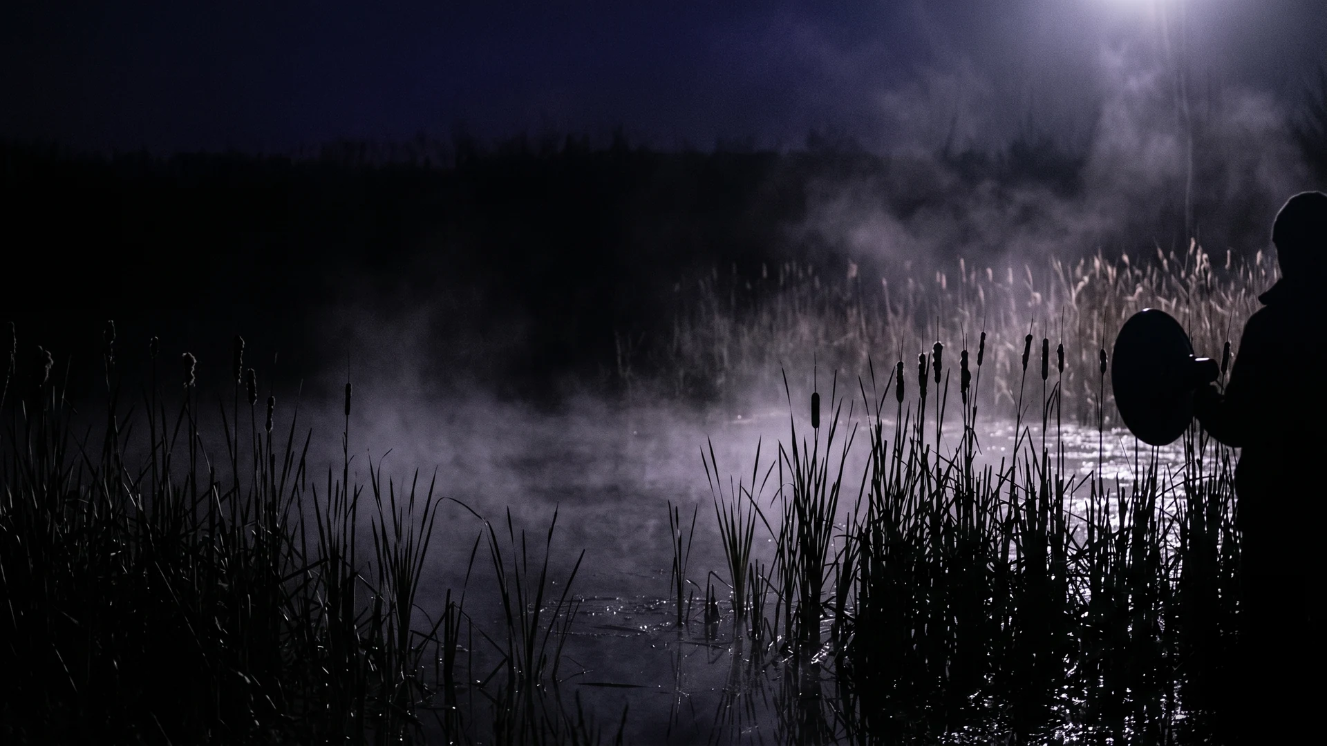 Researcher with a parabolic microphone at the edge of a misty wetland at night